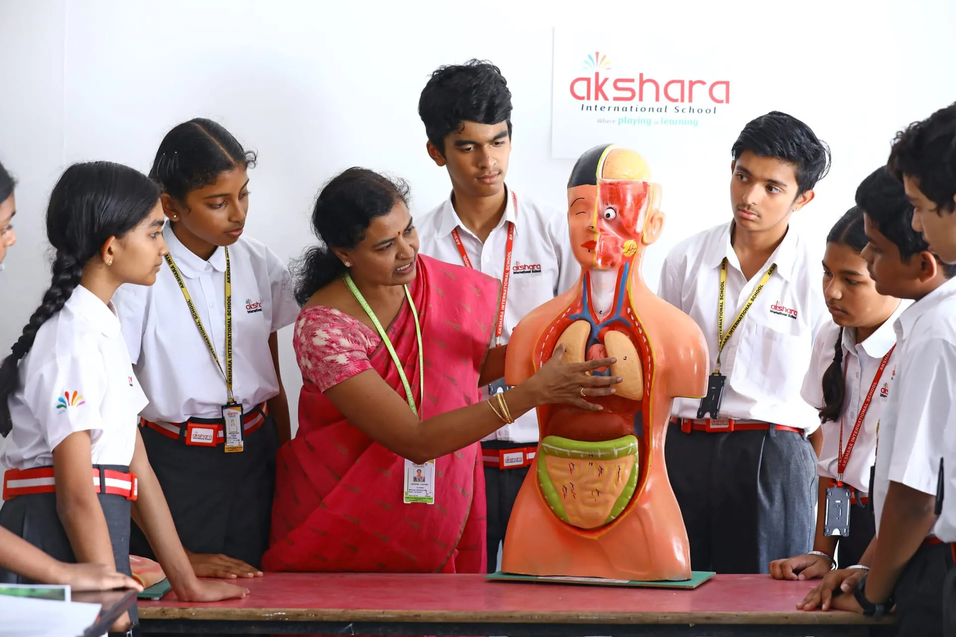 Teacher explaining a human anatomy model to students